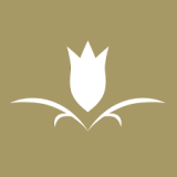 عرض خاص مع رقم كوبون خصم بيا مارتينا