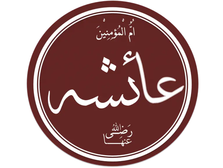 صفات السيدة عائشة رضي الله عنها