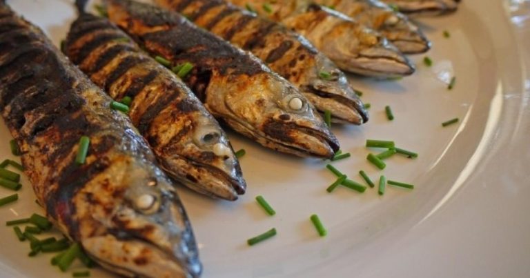 السمك المطبوخ في المنام