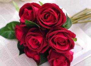 Ang mga pulang rosas
