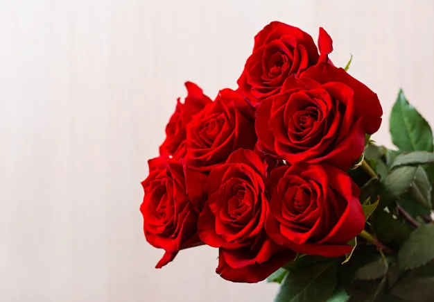 Sen o różach dla rozwiedzionej kobiety – blog Sada Al Umma