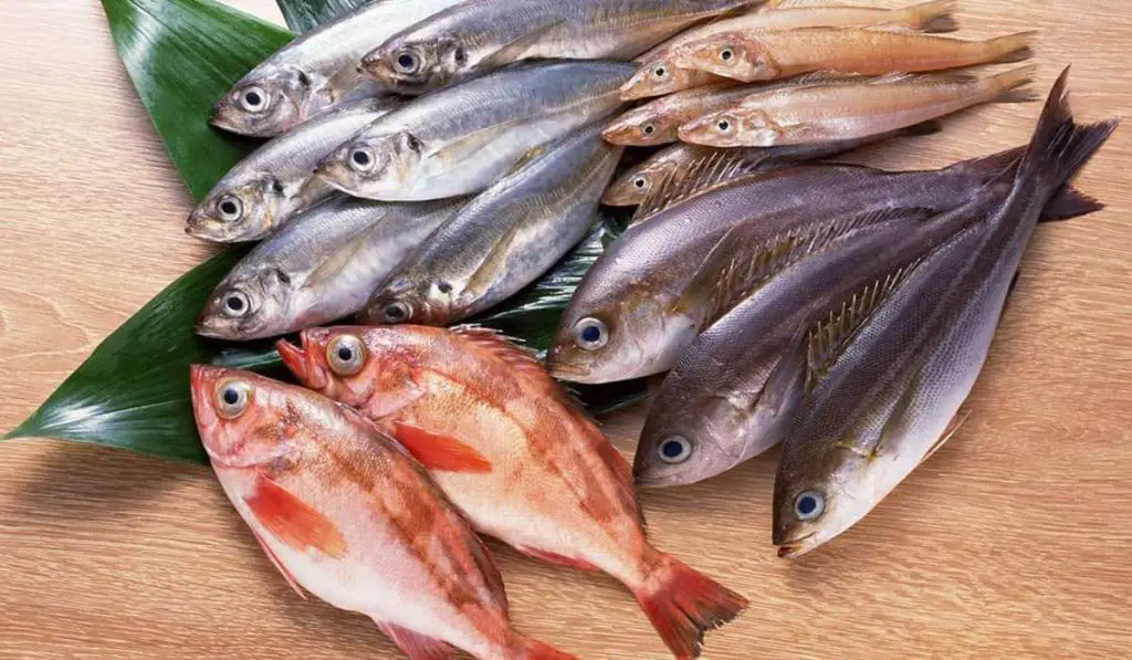 Sueño con comprar pescado - Blog de Sada Al-Umma