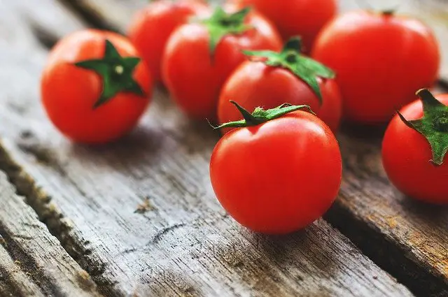 تفسير حلم اكل الطماطم لابن سيرين - مدونة صدى الامة