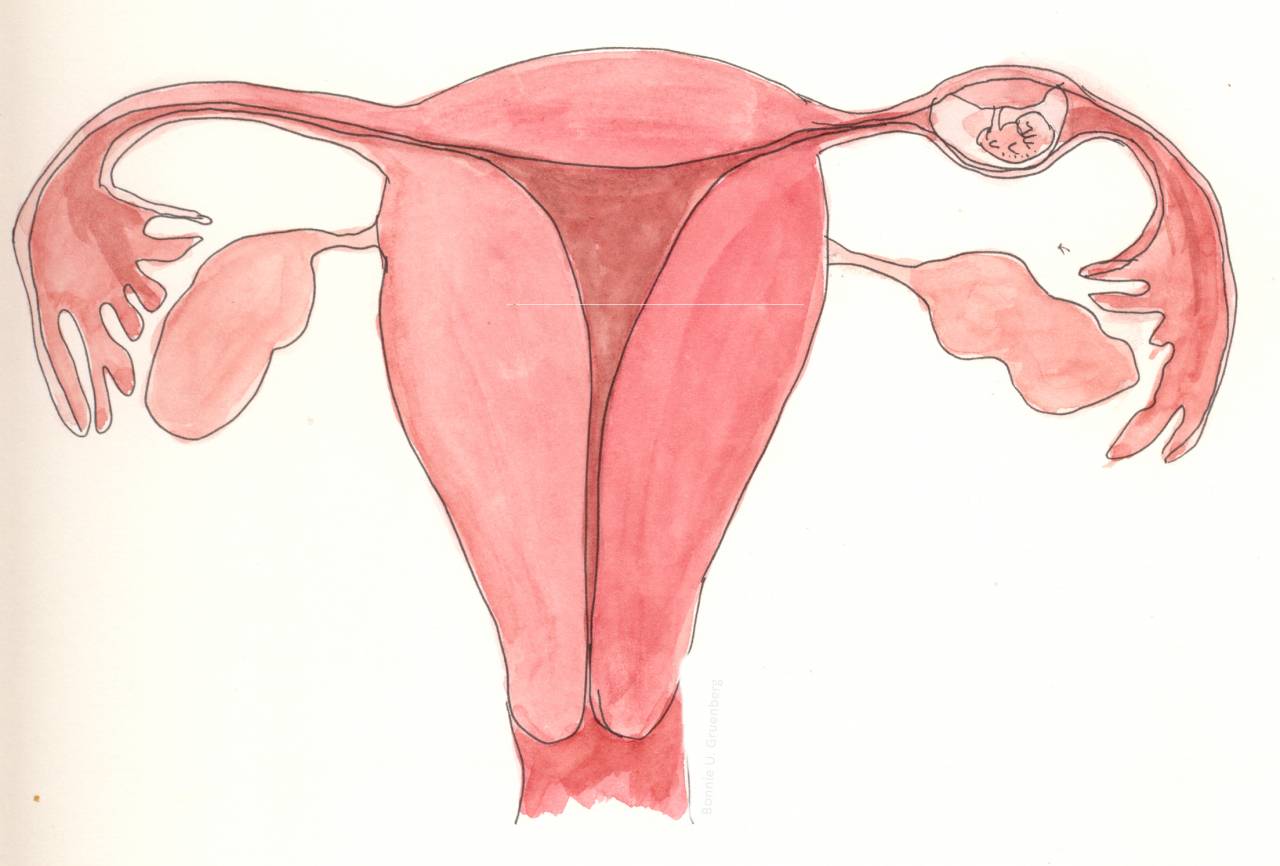 أعراض الحمل خارج الرحم الأكيدة