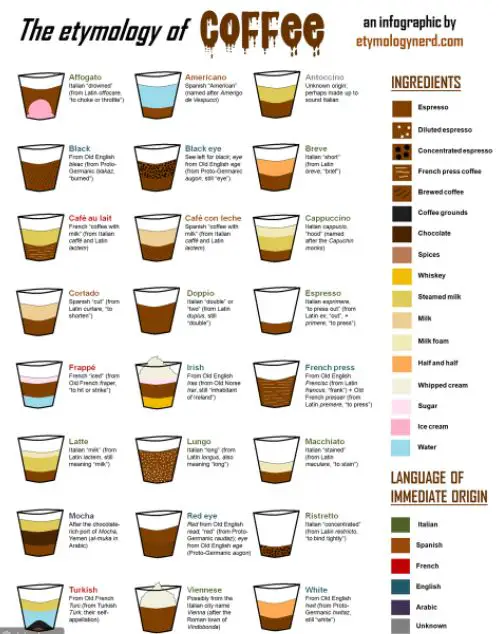  أنواع القهوة - مدونة صدى الامة