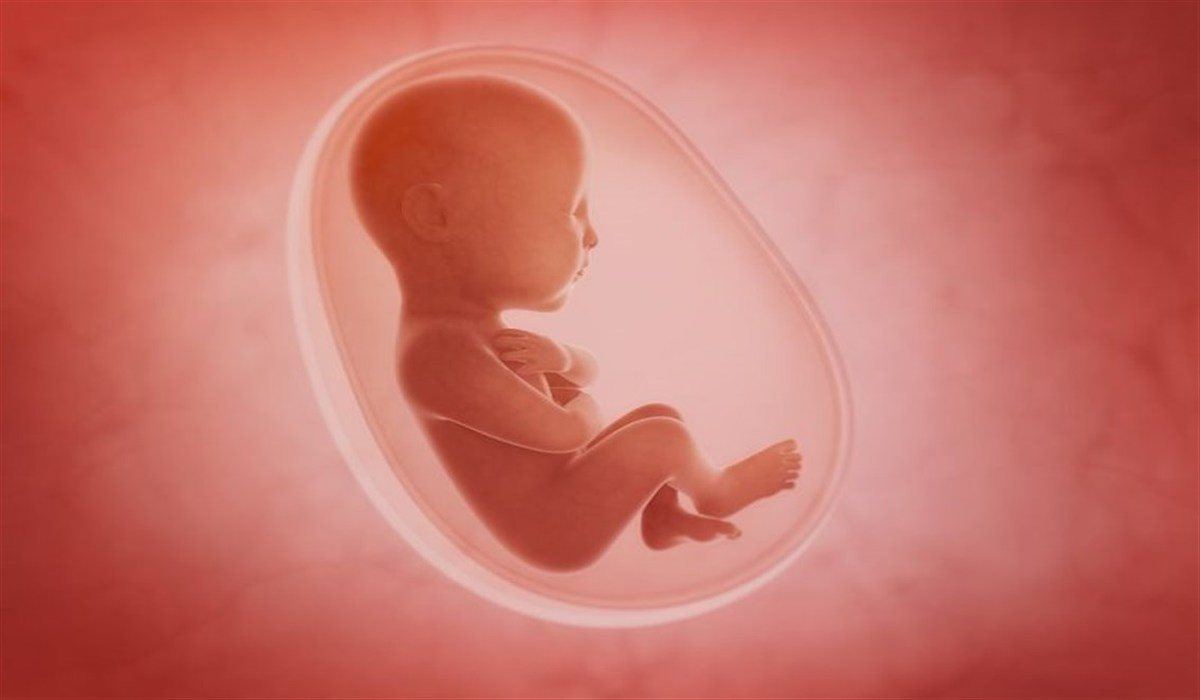 كيف احسب عدد حركات الجنين في الشهر التاسع