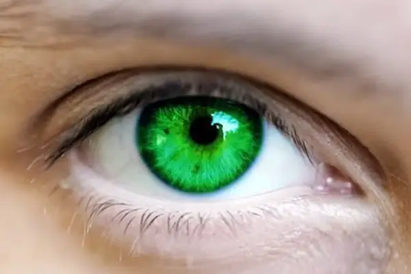 Зелене очи у сну