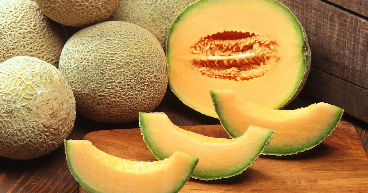 ឃើញ Melon និង Melon នៅក្នុងសុបិនមួយ។
