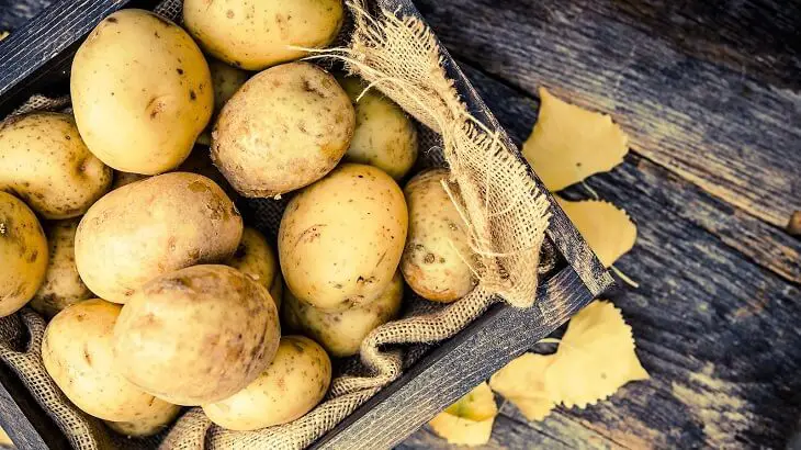  البطاطس في المنام - مدونة صدى الامة