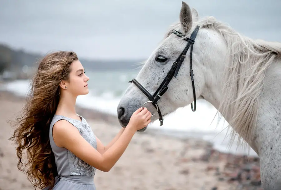 حلم الحصان الأبيض - مدونة صدى الامة