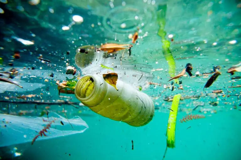 horrifying water pollution facts picture 426716 - مدونة صدى الامة