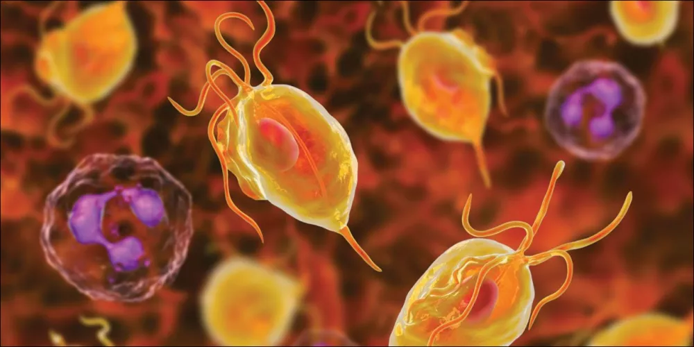 Порно лесбиянка бөтелке секс Тайландтық порно актрисалардың фотосуреттері