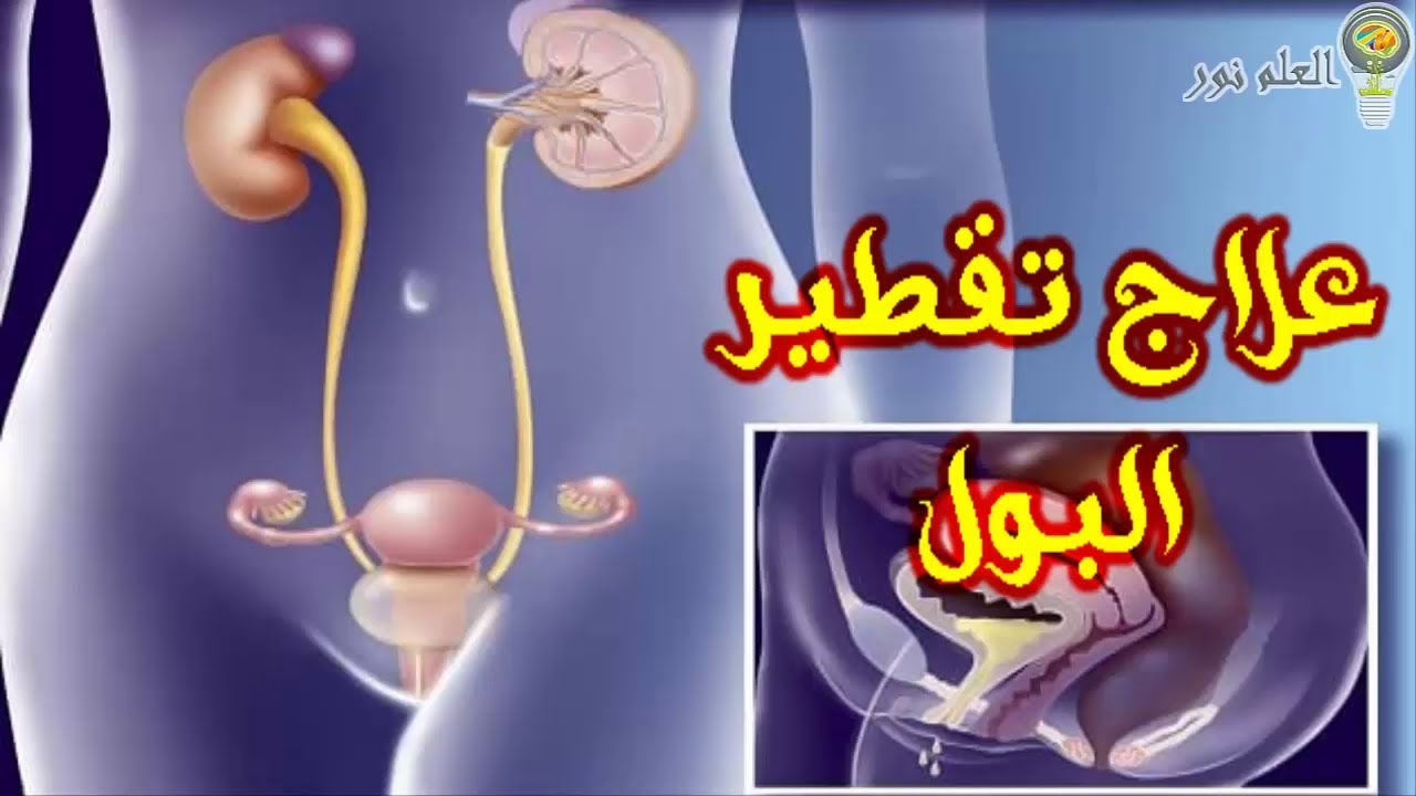 Балапандар өздерін көкөністермен қорлайды