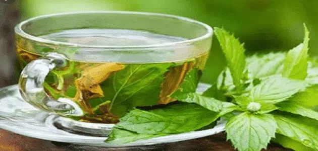 تجربتي مع النعناع للتنحيف