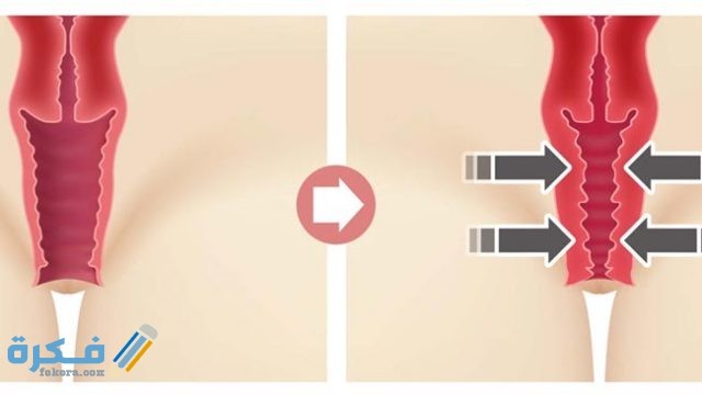 Onlayn porno video toxtamaydi