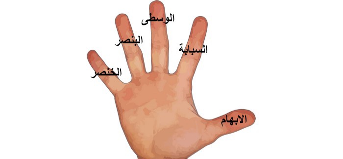 اسماء اصابع اليد - مدونة صدى الامة