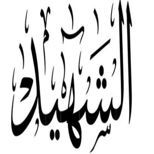 Seeing the martyr in a dream