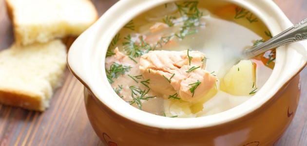 My experience with the sleeve diet without surgery