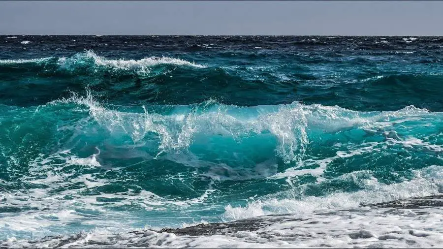 उफनते समुद्र का सपना देखना और उससे बचना - सदा अल-उम्मा ब्लॉग