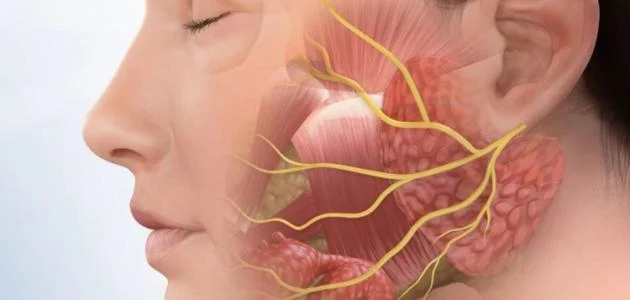 Dh'fheuch mi an nerve trigeminal