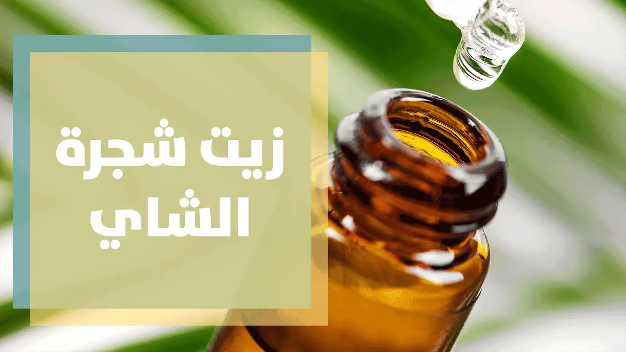 تجربتي مع زيت الشاي للشعر