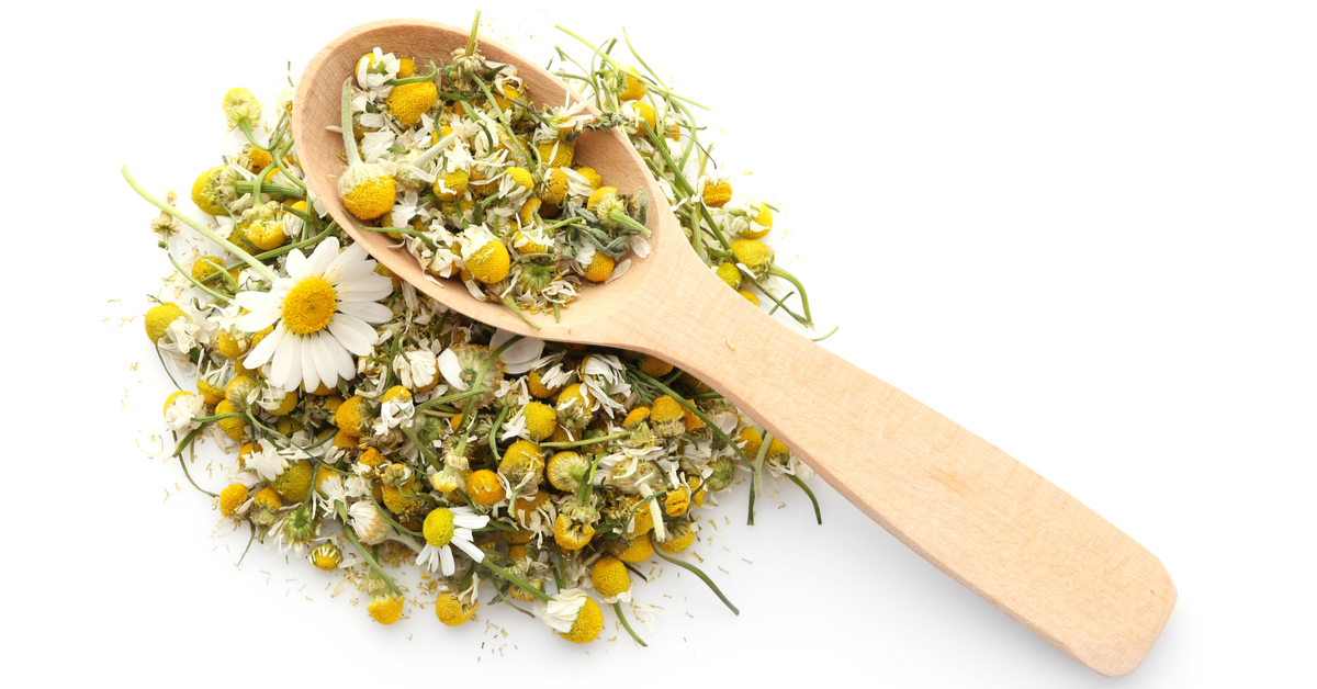 تجربتي مع البابونج للالتهابات