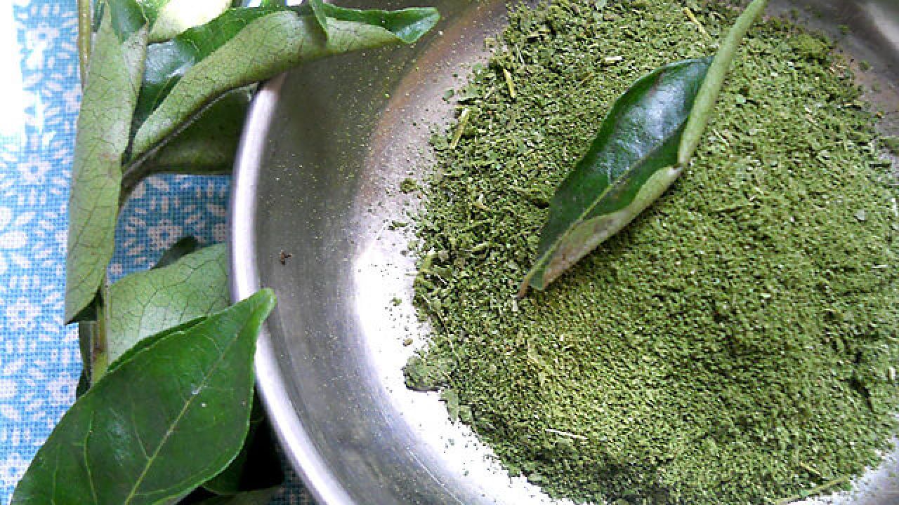 السدر للشعر تجربتي