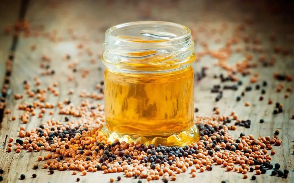 الخردل للشعر تجربتي