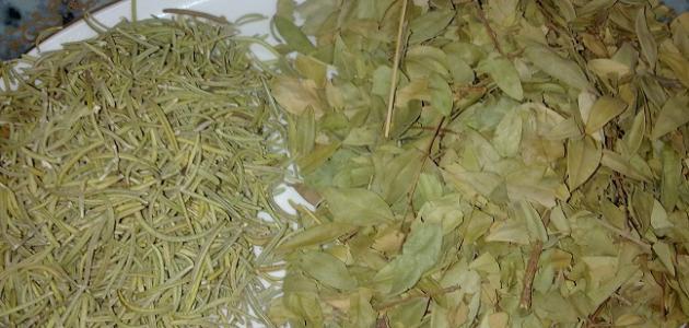 Myrtle and rosemary for hair, my experience