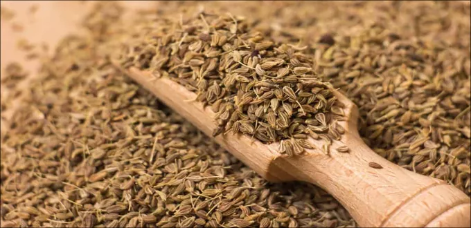 我用茴香减肥的经验