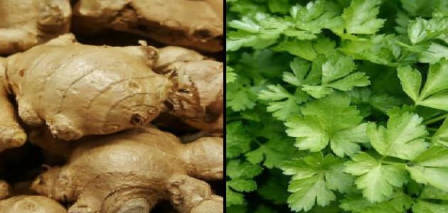 تجربتي مع عصير البقدونس والزنجبيل