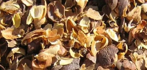 جربت قشر القهوه ونحفت