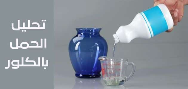 የክሎሪን የእርግዝና ምርመራን ሞክሮ ማርገዝ ማን ነበር?