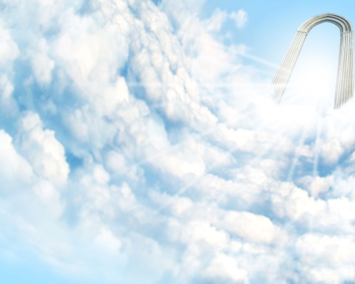 Interpretation of a dream about entering paradise for single women