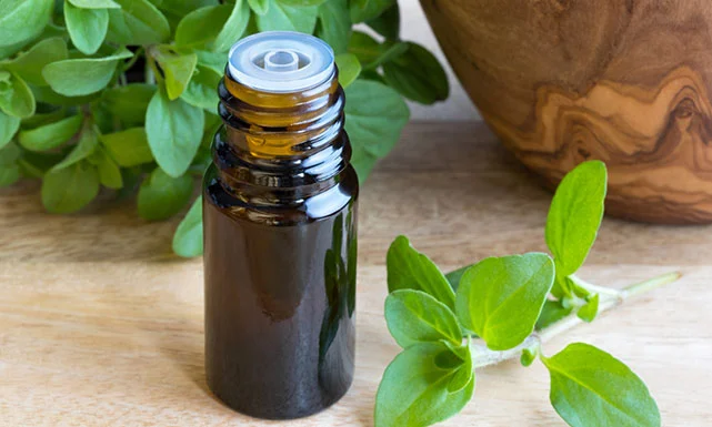 زيت البردقوش لتنعيم الشعر