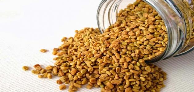 Fenugreek for fattening