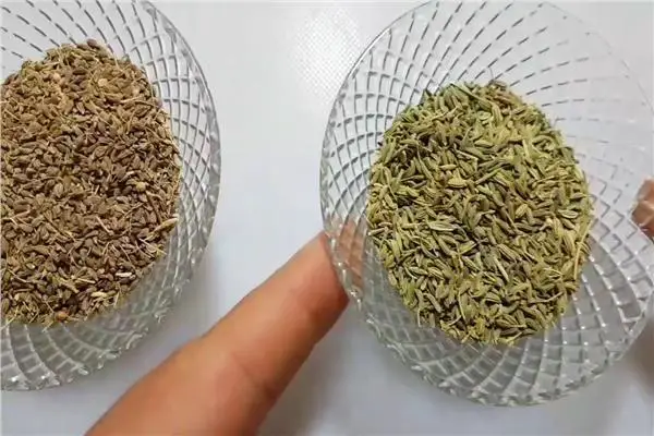 هل الشمر هو اليانسون؟