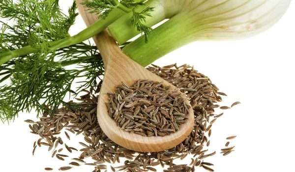 فوائد الشمر للكرش