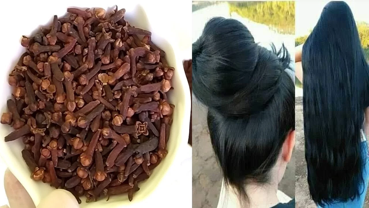 Clove for hair