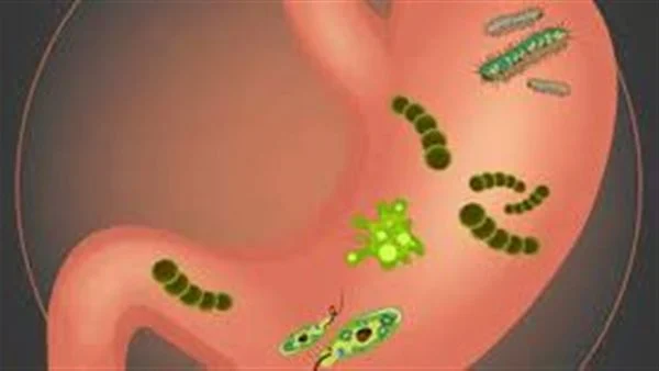 تجربتي مع جرثومة المعدة
