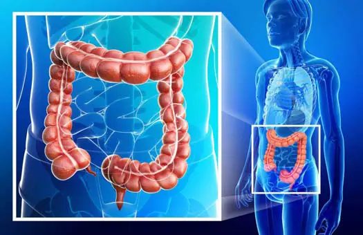 اسرع طريقه لتنظيف البطن من الفضلات