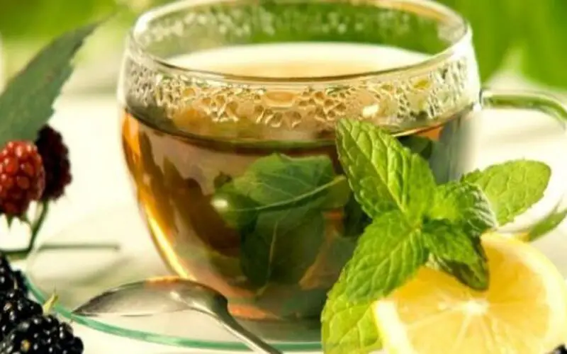 أعشاب لطرد البلغم من الرئتين