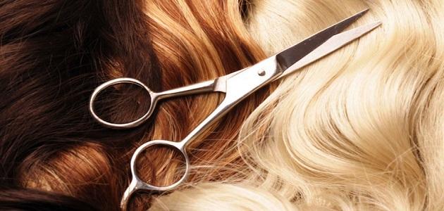 Interpretation of a dream about cutting hair