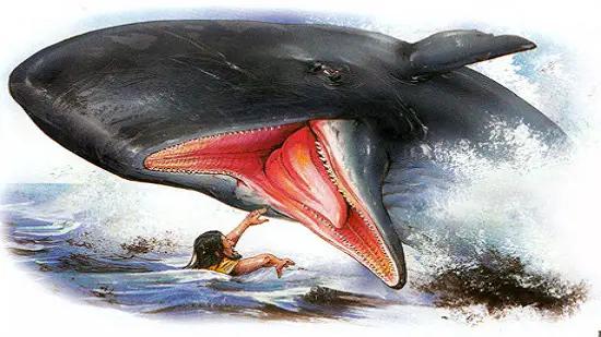  الحوت يبتلع انسان