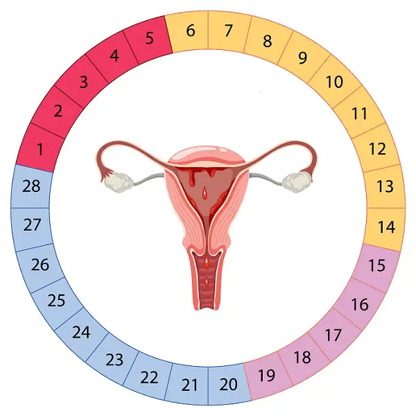 Léiriú aisling faoi menstruation