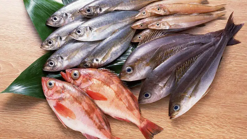 Fisch