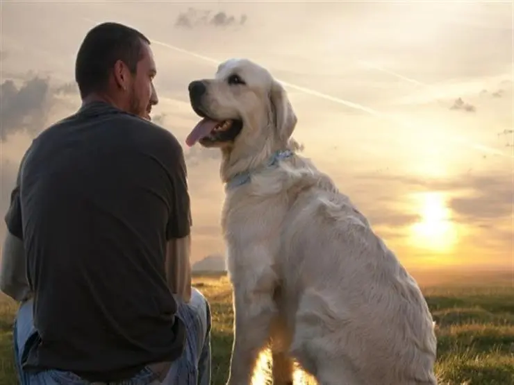 Seeing dogs in a dream for a married man