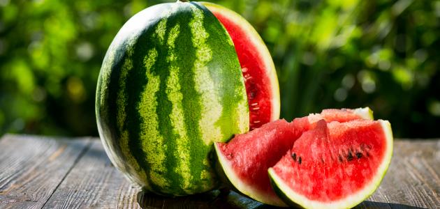 Red watermelon - Sada Al Umma blog