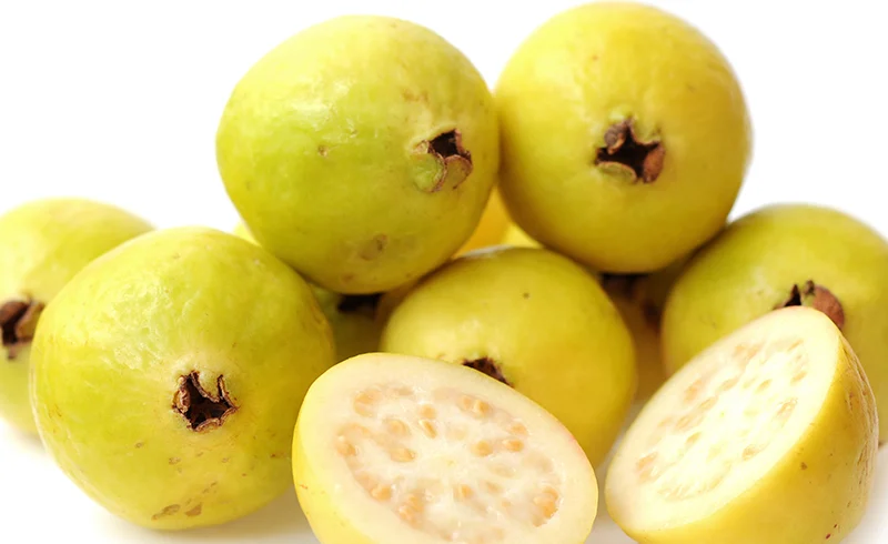 248124 Guava'nın faydaları nelerdir - Sada Al-Umma blogu