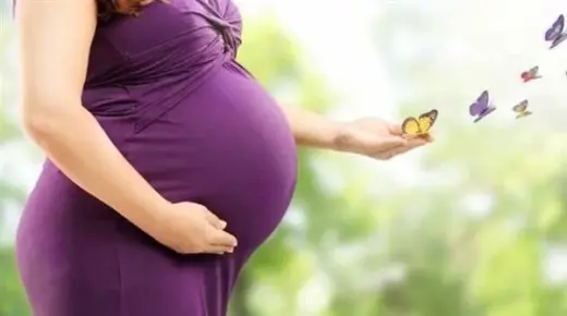 De 10 vigtigste fortolkninger af at se graviditet i en drøm for en enkelt kvinde, ifølge Ibn Sirin